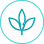 NATURAL <br> INGREDIENTS